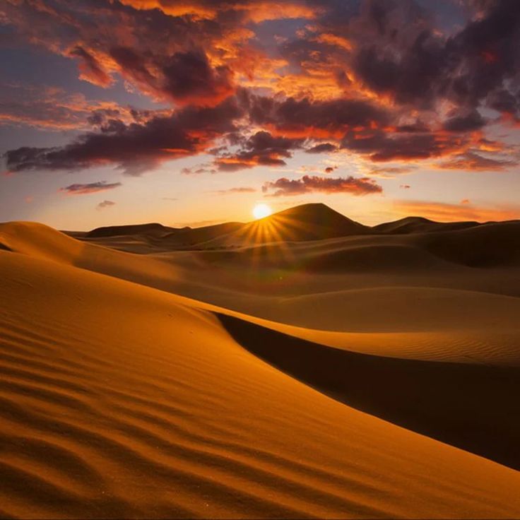 How To Visit The Sahara Desert
