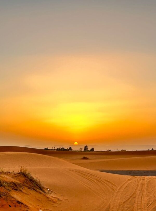 Img 20231003 192103 755