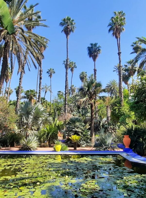 5 Day Tour Casablanca to Marrakech .morocco travel