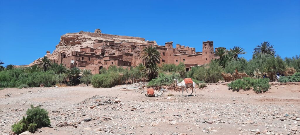 Trip to morocco