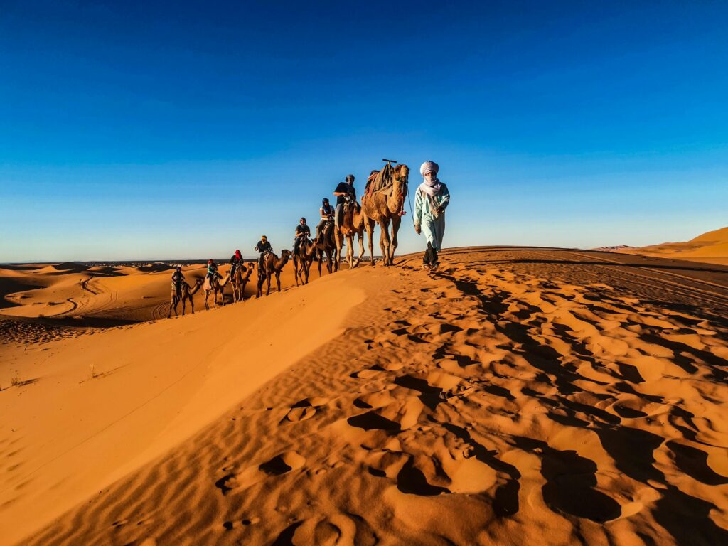 A caravan of camels led by a person traverses the sunlit desert dunes. 8 Days Tour From Casablanca ,morocco travel