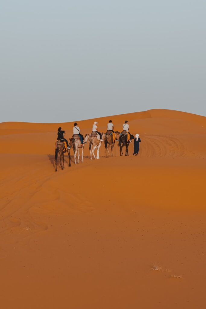 10 Days Morocco Tour from Tangier ,morocco tarvel