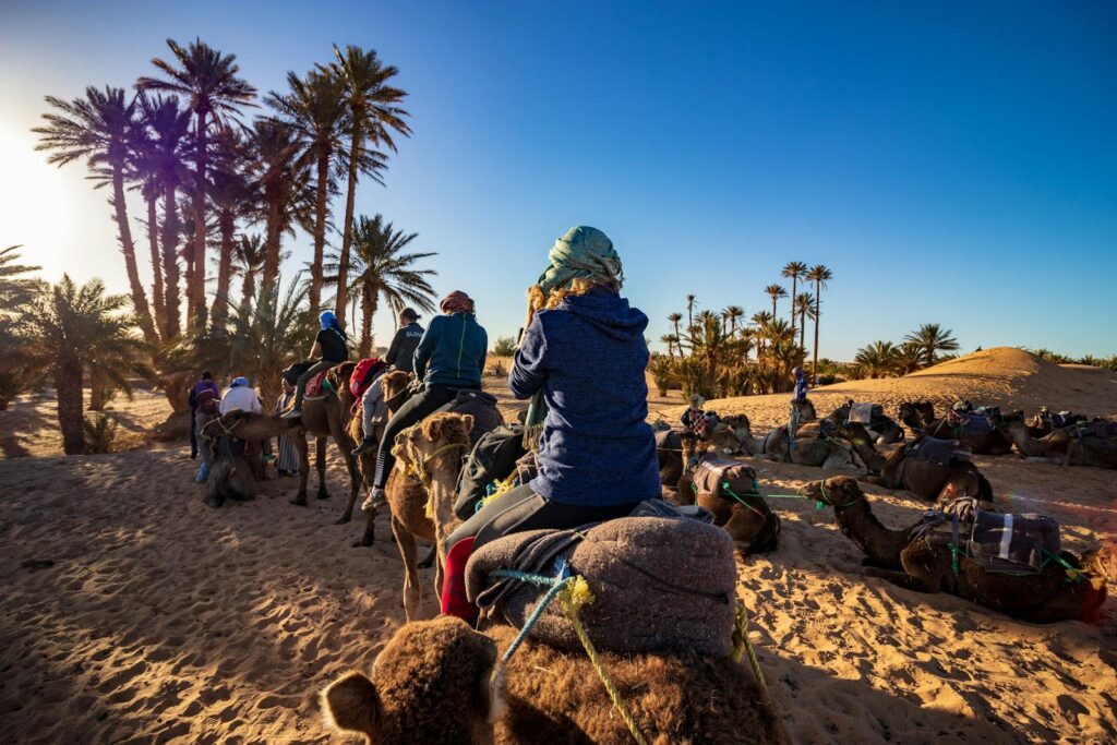 Group of people riding camels through a desert oasis with palm trees under a blue sky, ideal for travel and adventure themes. 2 Days Tour from Marrakech To Zagora. morocco travel