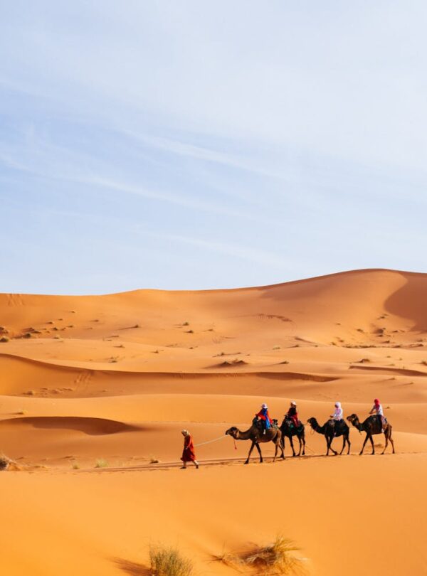 Tourists riding camels across the dunes of Merzouga, Morocco, a popular Sahara destination.Morocco travel Best 7-Day Morocco Trip from Marrakech